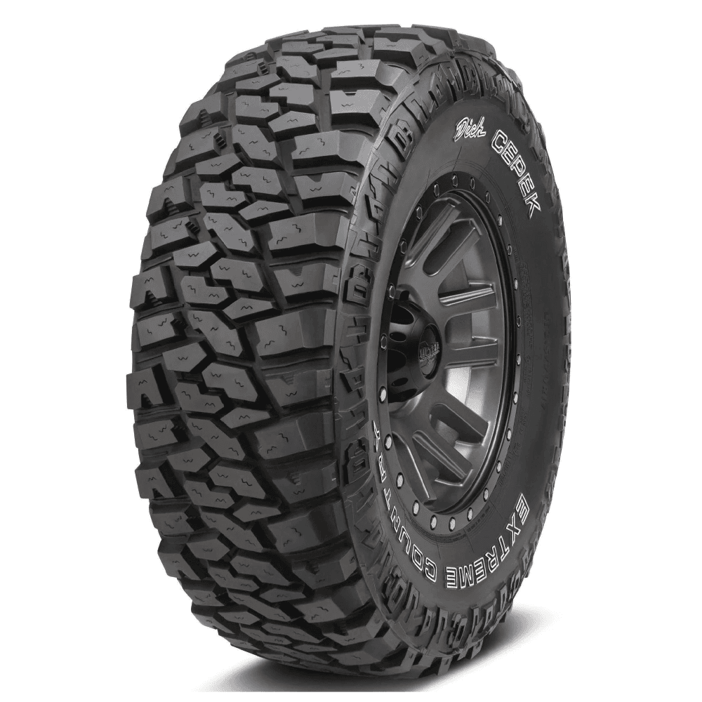 DICK CEPEK EXTREME COUNTRY