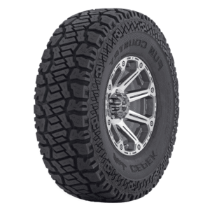 DICK CEPEK FUN COUNTRY