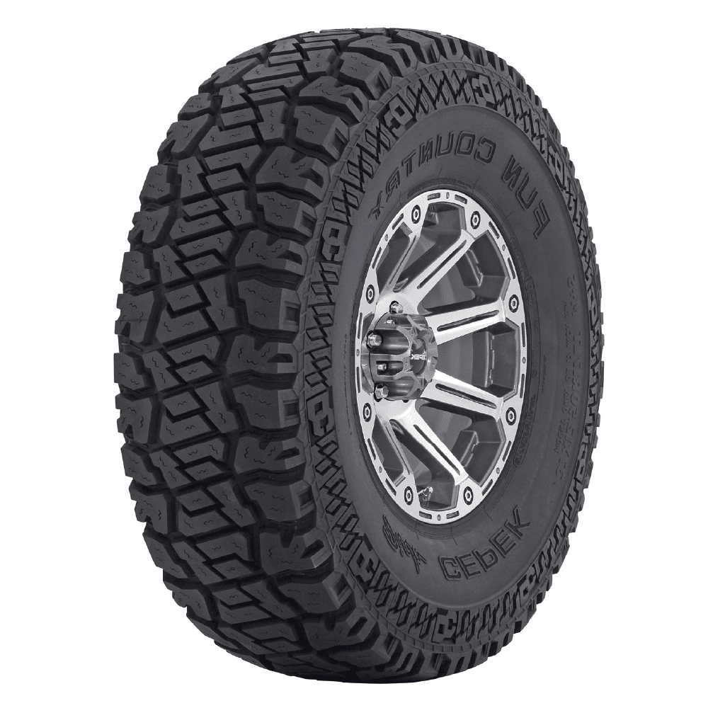 DICK CEPEK FUN COUNTRY